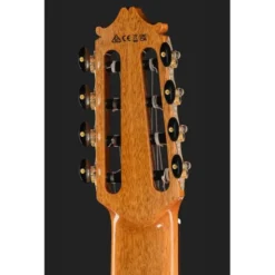 Ibanez GA3008CE-NT