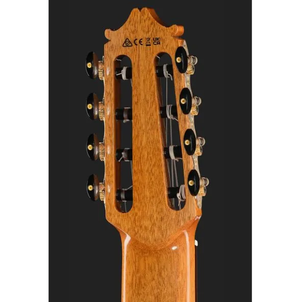 Ibanez GA3008CE-NT
