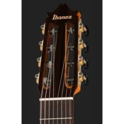 Ibanez GA3008CE-NT