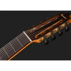 Ibanez GA3008CE-NT