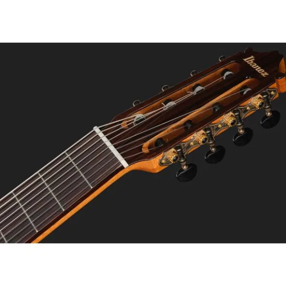 Ibanez GA3008CE-NT