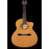 Ibanez GA5TCE-AM