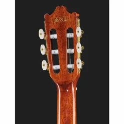 Ibanez GA5TCE-AM
