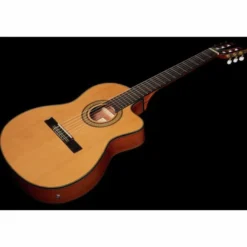 Ibanez GA5TCE-AM