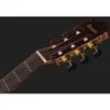 Ibanez GA35TCE-NT