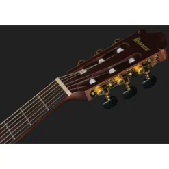 Ibanez GA35TCE-NT