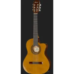 Ibanez GA5TCE3Q-AM