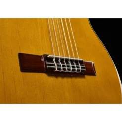 Ibanez GA5TCE3Q-AM