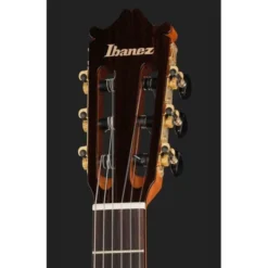 Ibanez GA360TCE-TBK