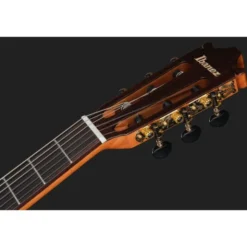 Ibanez GA360TCE-TBK