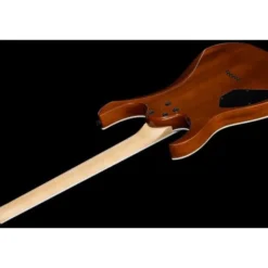 Ibanez GRGR221PA-AQB