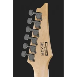 Ibanez GRGR221PA-AQB Bundle
