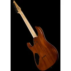 Ibanez GRGR221PA-AQB Bundle