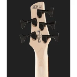 Ibanez GSR205B-WK