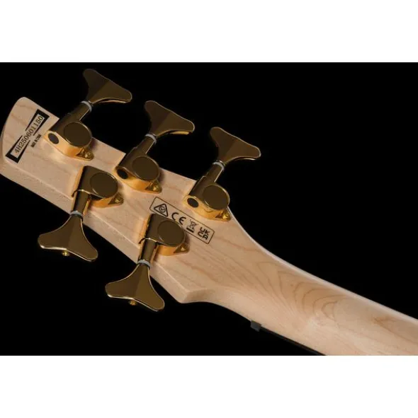 Ibanez GSR205PC-TMU Gio