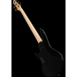 Ibanez GSR205PC-TMU Gio