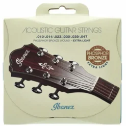 Ibanez IACSP61C Acoustic Steel