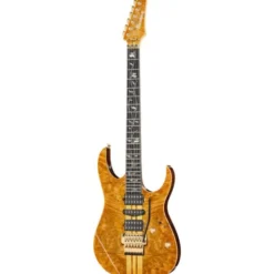 Ibanez IV1RG Visions RG
