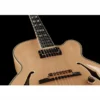 Ibanez PM200-NT Pat Metheny