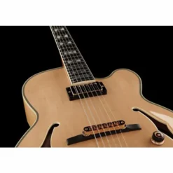 Ibanez PM200-NT Pat Metheny