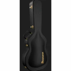 Ibanez PM200-NT Pat Metheny