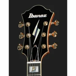 Ibanez PM200-NT Pat Metheny