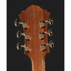 Ibanez PM200-NT Pat Metheny