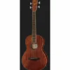 Ibanez PNB14E-OPN Acoustic Bass