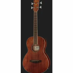 Ibanez PNB14E-OPN Acoustic Bass