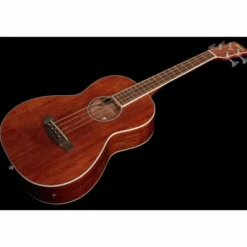 Ibanez PNB14E-OPN Acoustic Bass