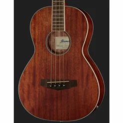 Ibanez PNB14E-OPN Acoustic Bass