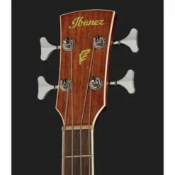 Ibanez PNB14E-OPN Acoustic Bass