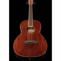 Ibanez PNB14E-OPN Acoustic Bass