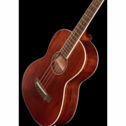 Ibanez PNB14E-OPN Acoustic Bass