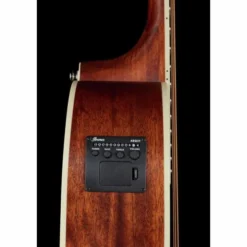Ibanez PNB14E-OPN Acoustic Bass