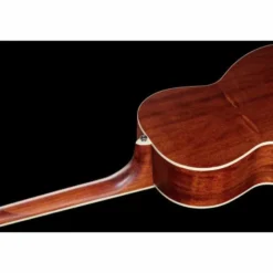 Ibanez PNB14E-OPN Acoustic Bass
