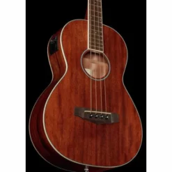 Ibanez PNB14E-OPN Acoustic Bass