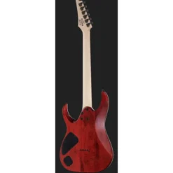 Ibanez RGA42FM-TGF