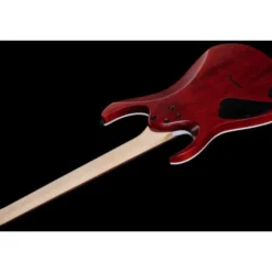 Ibanez RGA42FM-TGF