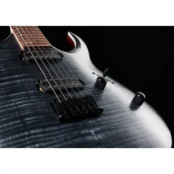 Ibanez RGA42FM-TGF