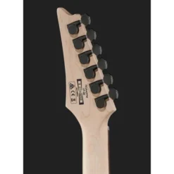Ibanez RGA42FM-TGF