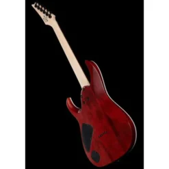 Ibanez RGA42FM-TGF