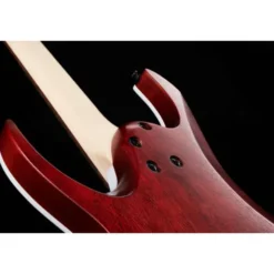 Ibanez RGA42FM-TGF