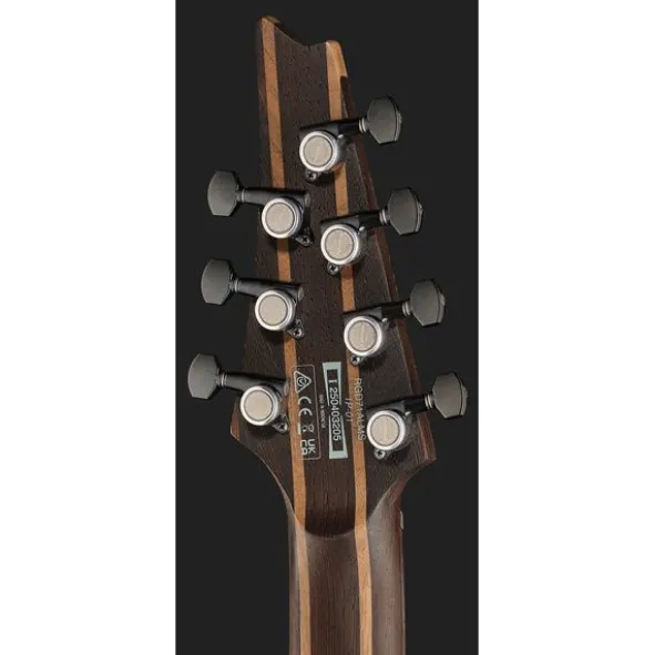 Ibanez RGD71ALMS-BAM