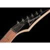 Ibanez RG421PB-CHF