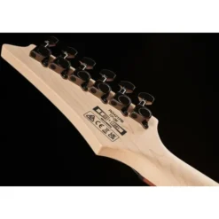Ibanez RG421PB-CHF