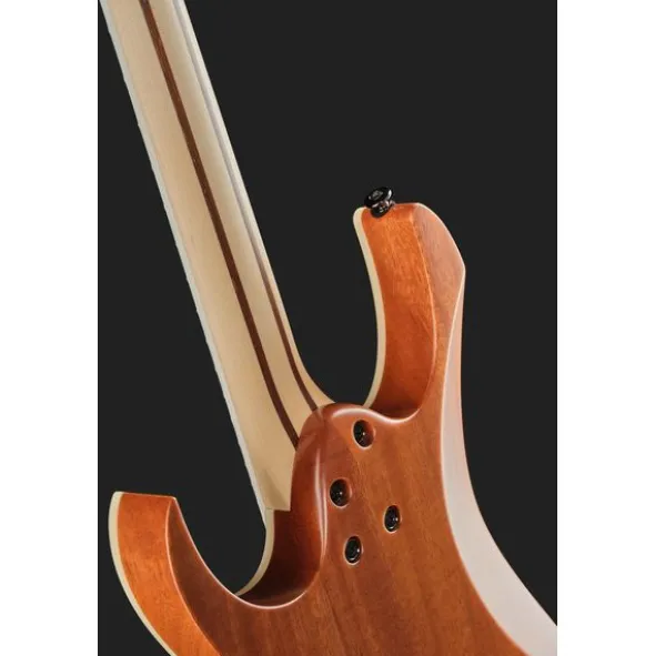 Ibanez RG5121R-DBF
