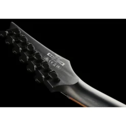 Ibanez RGRT421-WK