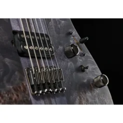 Ibanez RGT1221PB-DTF