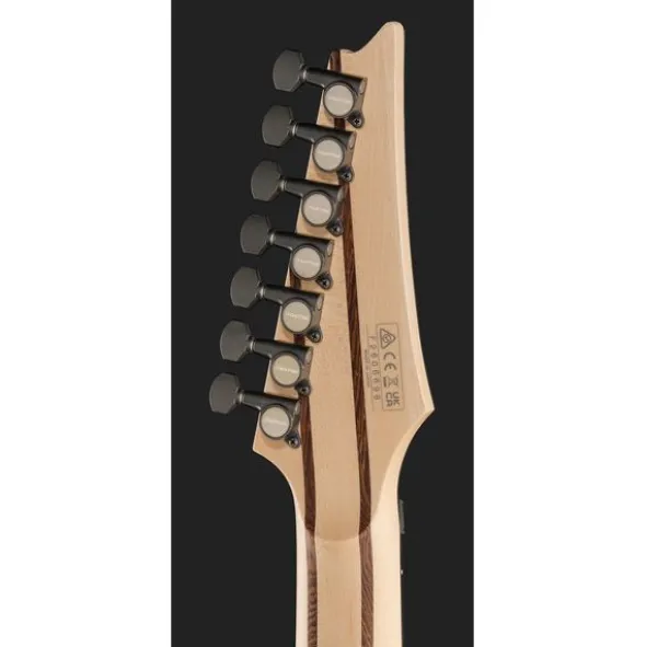 Ibanez SFS727 Stephan Forte